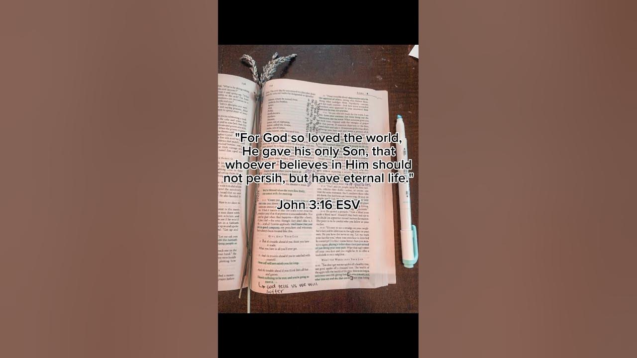 books-where-the-main-character-dies-christan-bible-john316-edit