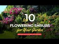 Breathtaking blooms top 10 flowering shrubs for your garden   gardening tips