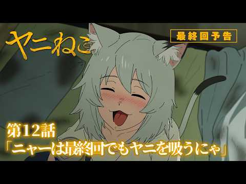 TVアニメ『ヤニねこ』第12話「ニャーは最終回でもヤニを吸うにゃ」予告｜2026年7月から放送・配信中！