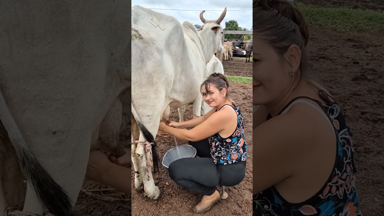 A stunning queen of fields with her hard work 😇 