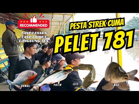 Umpan Racikan Bawal Harian