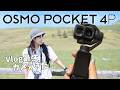 【最新レビュー】DJI Osmo Pocket 4Pを初使用！登山女子の休日Vlog