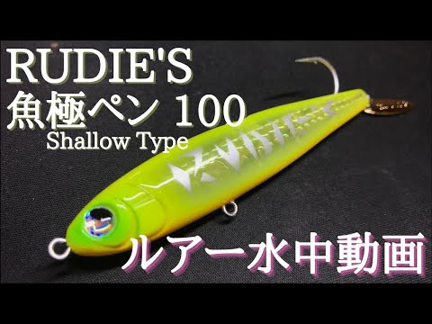 魚極ペン100 魚極ペン85 RUDIE'S（ルーディーズ）セット 魚極ペン 100・85 | RUDIE'S （ルーディーズ）