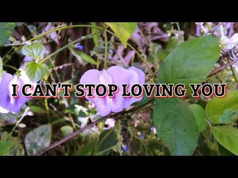 I Can't Stop Loving You|Instrumental Music|by:Sweet Music