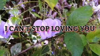 I Cant Stop Loving Youinstrumental Bysweet 