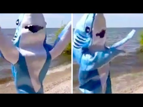 dancing-shark-ira-shark-takes-over-twitter-|-what's-trending-now