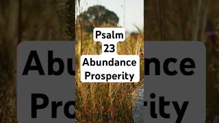 Powerful Prayer of Psalm 23 #Psalm23 #Prayerbundance and Prosperity#PowerfulPrayer