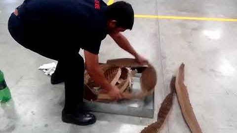 Spectrex IR3  Flame detector testing with real 🔥