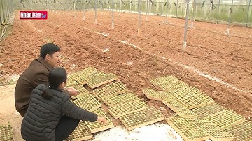 Nâng cao hiệu quả ứng dụng khoa học - công nghệ vùng dân tộc thiểu số