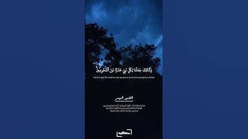 وكفى بربك هاديا ونصيرا | سورة الفرقان | المنشاوي #quran