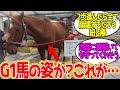 マチカネフクキタル ← 紐に全幅の信頼を置きすぎてる…に対するみんなの反応！【競馬 の反応集】