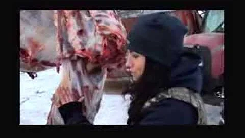 Nicole McClain Explains Why Buffalo Fat Is Orange