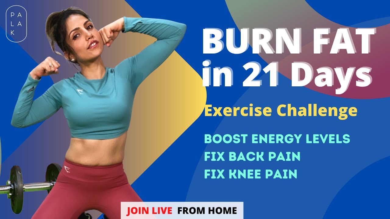 All NEW Exercise Program Techniques to Fatigue, Knee Pain