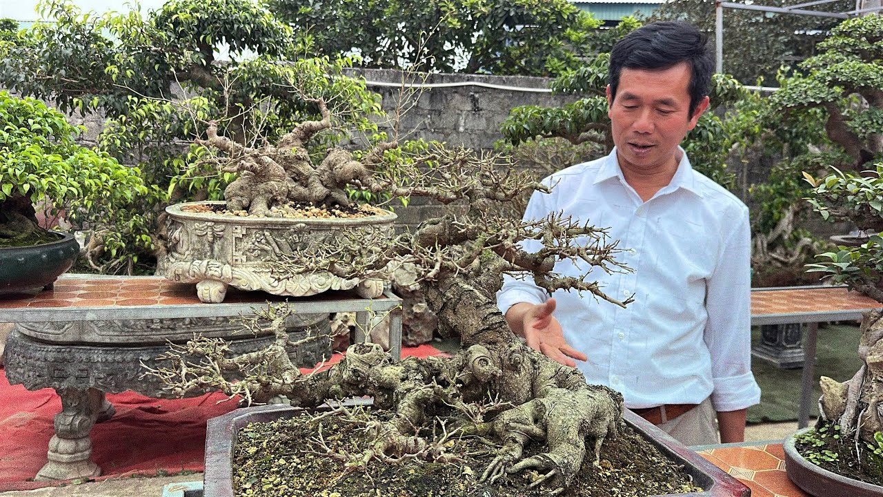 Tiêc tất niên nhà vườn Sơn Nga. Chuyên làm đá sân vườn tiểu cảnh, Hồ cá coi | Quảng Tùng