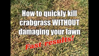 How to kill crabgrass quickly without damaging your lawn