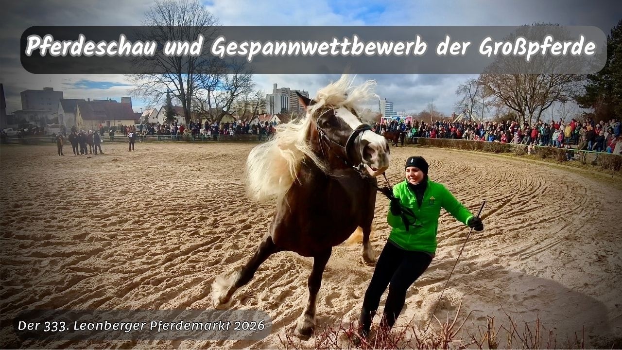 Leonberger Pferdemarkt 2026 🏅Pferdeschau und Gespannwettbewerb der Großpferde🐎GIGANTEN DER KRAFT
