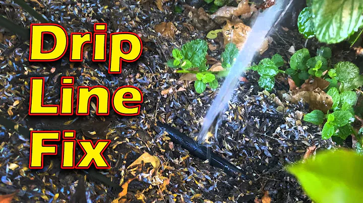 Drip Line Fix - Drip Irrigation Leak Fix - So easy, anyone can do it.