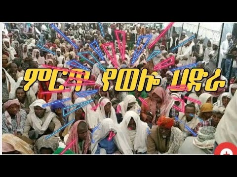 የወሎ ምርጥ ሐድራ በሸይኽ ኡመር ያዳምጡት Best Wollo Hadra Menzuma Alhadratube EthioNeshidaMenzuma