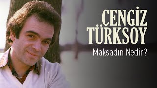 Cengiz Türksoy - Maksadın Nedir?  Resimi