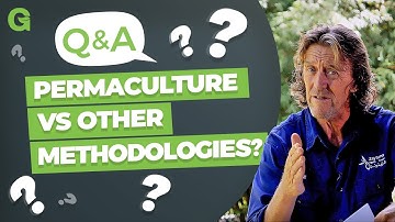 Permaculture Vs Regenerative Agriculture, Syntropic Agriculture & Holistic Management?