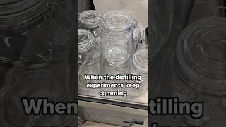 Need more glass STAT! #distilling #whiskey #experiment
Need more glass STAT! #distilling #whiskey #experiment Need more glass STAT! #distilling #whiskey #experiment