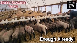 Caught In A Time-Loop: Bottle Feeding Lambs! by Ewetopia Farms 1,585 views 1 month ago 22 minutes