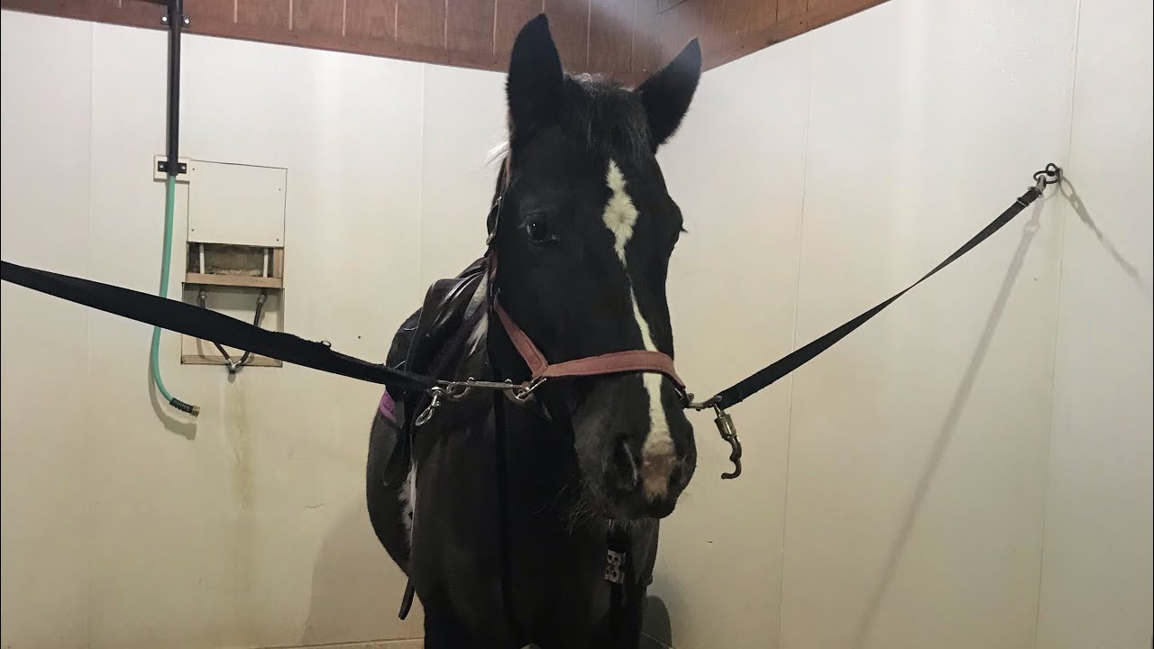 Tack uppp  that was requested 