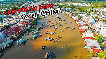 CHỢ NỔI CÁI RĂNG SẮP BỊ "CHÌM" và Sự Thật của Du lịch Miền Tây