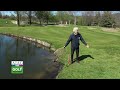 REGOLE DEL GOLF "nello spostare un'ostruzione movibile la palla si muove e finisce in acqua"