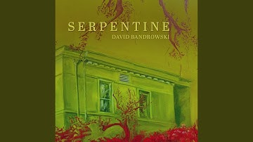 Serpentine (feat. Jason Mingledorff, Doug Belote & Nobu Ozaki)