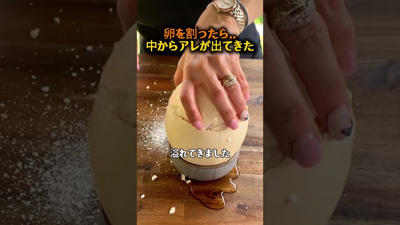 人生で一度は見たい巨大な卵の中身