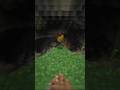 Manzana dorada en Minecraft #minecraft #shortvideo