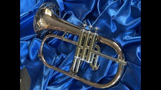 The Fantastic Dillon Flugel; Just $475 NEW! :)