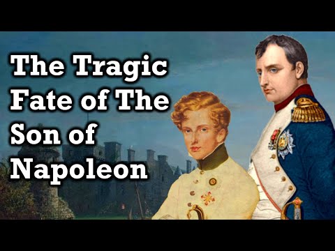 What Happened To Napoleon&rsquo;s Son?