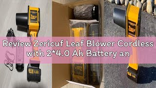 Review Zericuf Leaf Blower Cordless with 2*4.0 Ah Battery and Charger[Battery with Outdoor LED Light