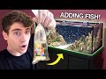 ADDING *NEW* FISH to My DREAM TANK... (what did I get?!)