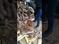 수동 장비를 활용한 효율적인 장작 패기 #WoodSplitting #ManualWoodSplitter #Firewood #DIYTools #Forestry