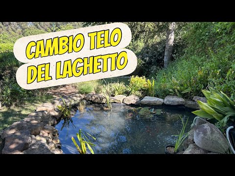 I change the liner on my pond and make it bigger - garden