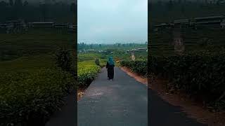 Download Lagu denting | petra MP3