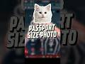 Make Passport Size Photo for free #shorts #techsujal #tech #shortvideo #tutorial #short