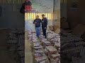 من ولاية الضامن إلى ايران و لبنان يافاطمه الشيخ علاء المهدوي ولاية الضامن بنات الضامن