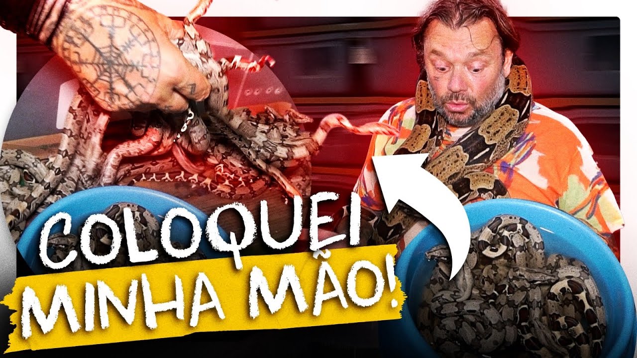 A MAIOR CRIAÇÃO DE SERPENTES QUE EU JÁ VI! | RICHARD RASMUSSEN