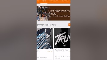 Flat Style Colored Bars: Bar Overlay Styles