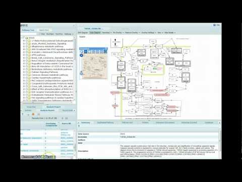 data visulalization using multi-pathway view