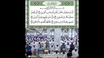 سورة الفيل قراءة الشيخ احمد بن طالب