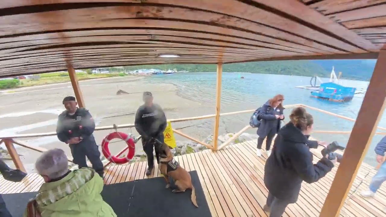 Sbarco a Puerto Chacabuco: scialuppe, natura selvaggia e aria di Patagonia! - - World Tour 2024