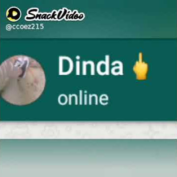 Story Wa Ngeprank Mantan‼️ Lucu Ngakak Abis Wkwk😂