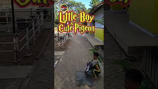Little Boy & Cute Pigeon eps. 90