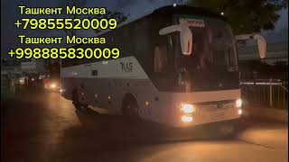 Москва Ташкент автобус Ташкент Москва автобус #uz #авто #тренды