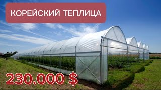 1 sotik issiqxona-10 mln so’mdan #agro #alba #issiqxona #qulupnay #biznes #strawberry #agronomia
